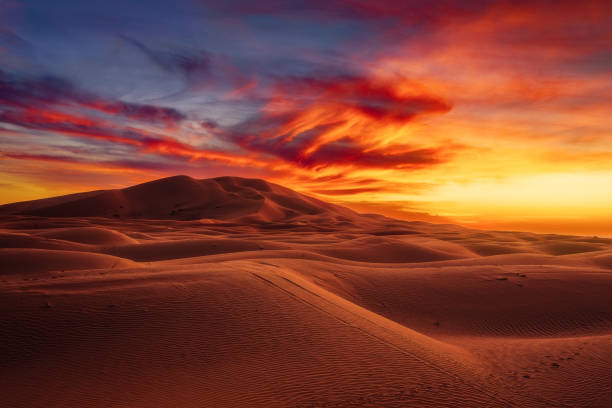 A camel caravan moving through large desert dunes at night.